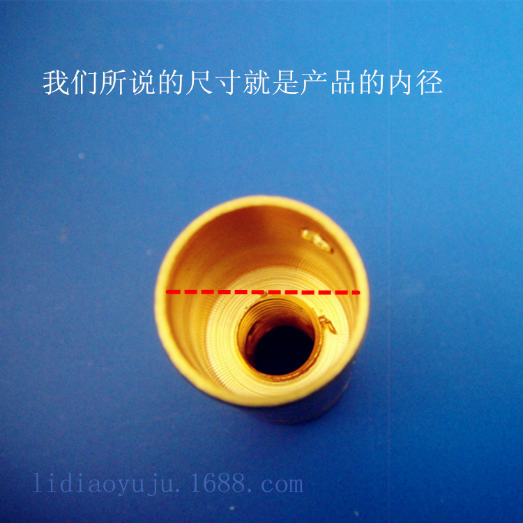 DSC07721