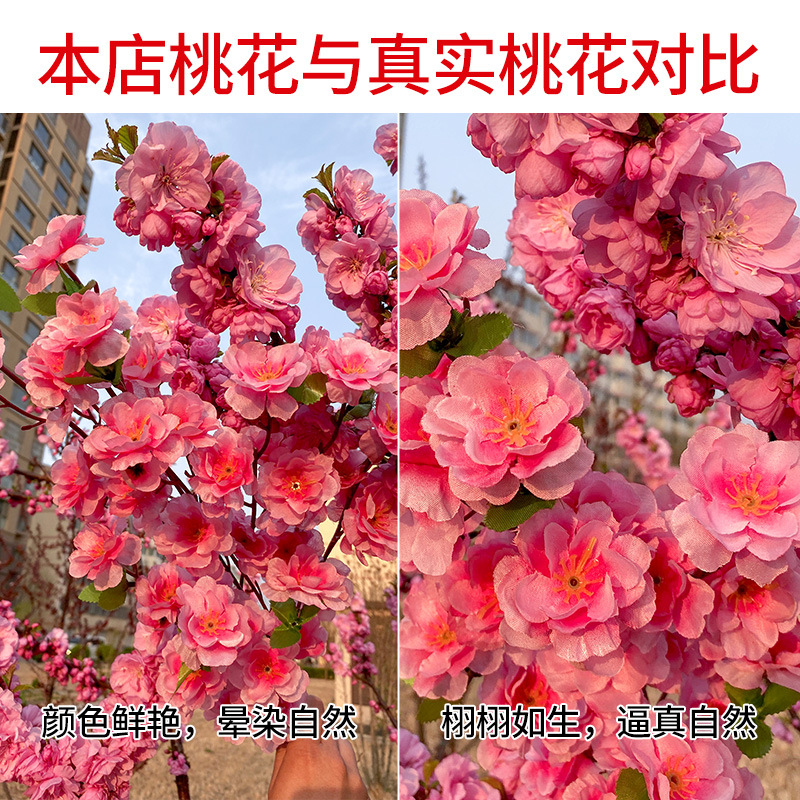 Фото 6