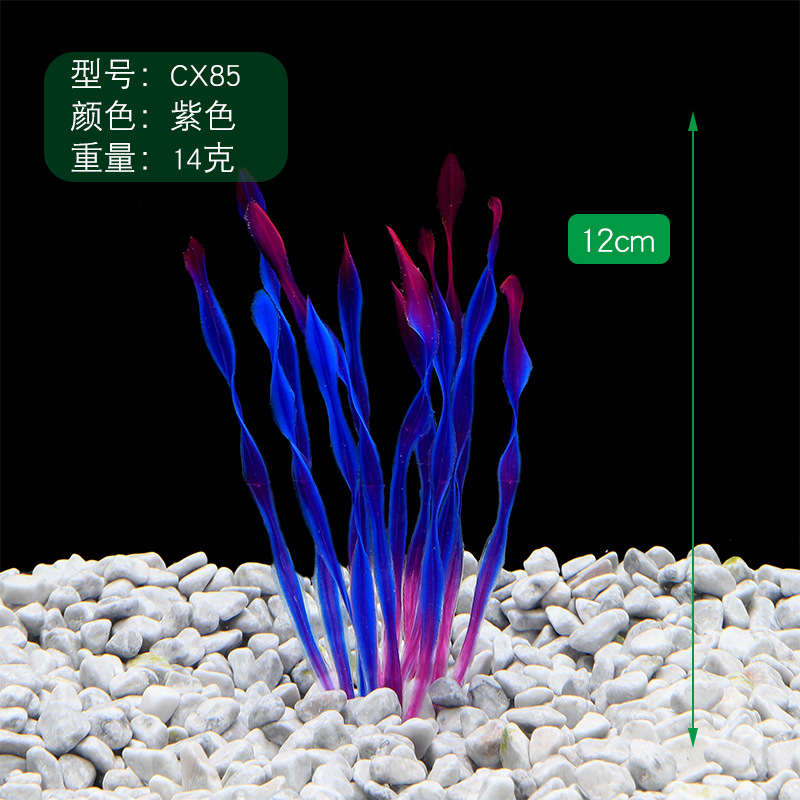 SKUCX85紫色.jpg