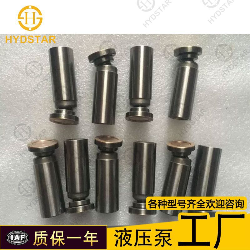 psvd2柱塞.jpg