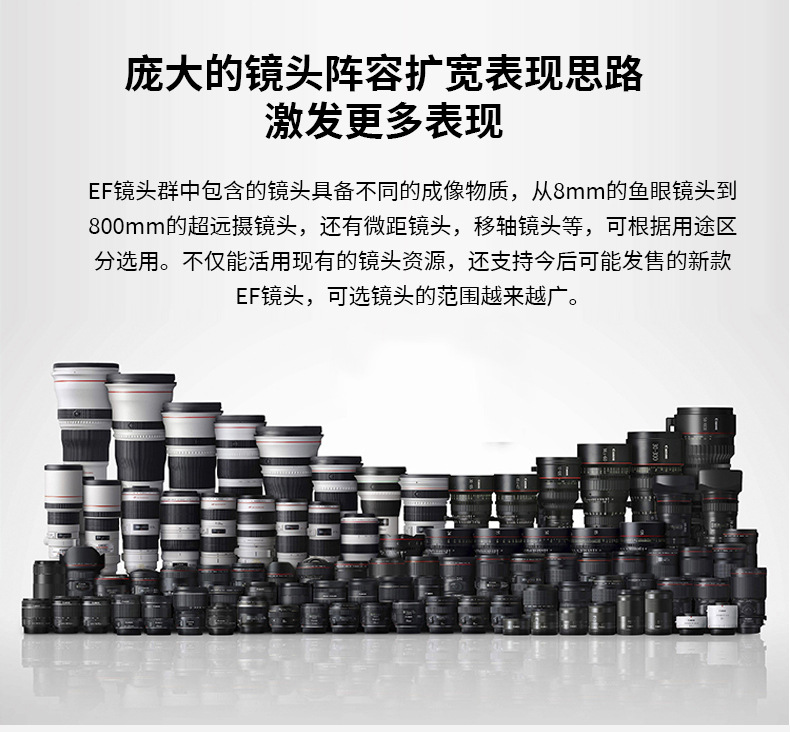 详情_04.jpg