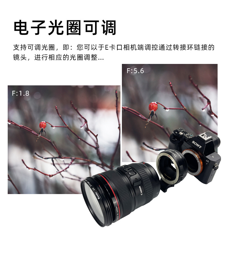 EF-E-HS-v1_04.jpg
