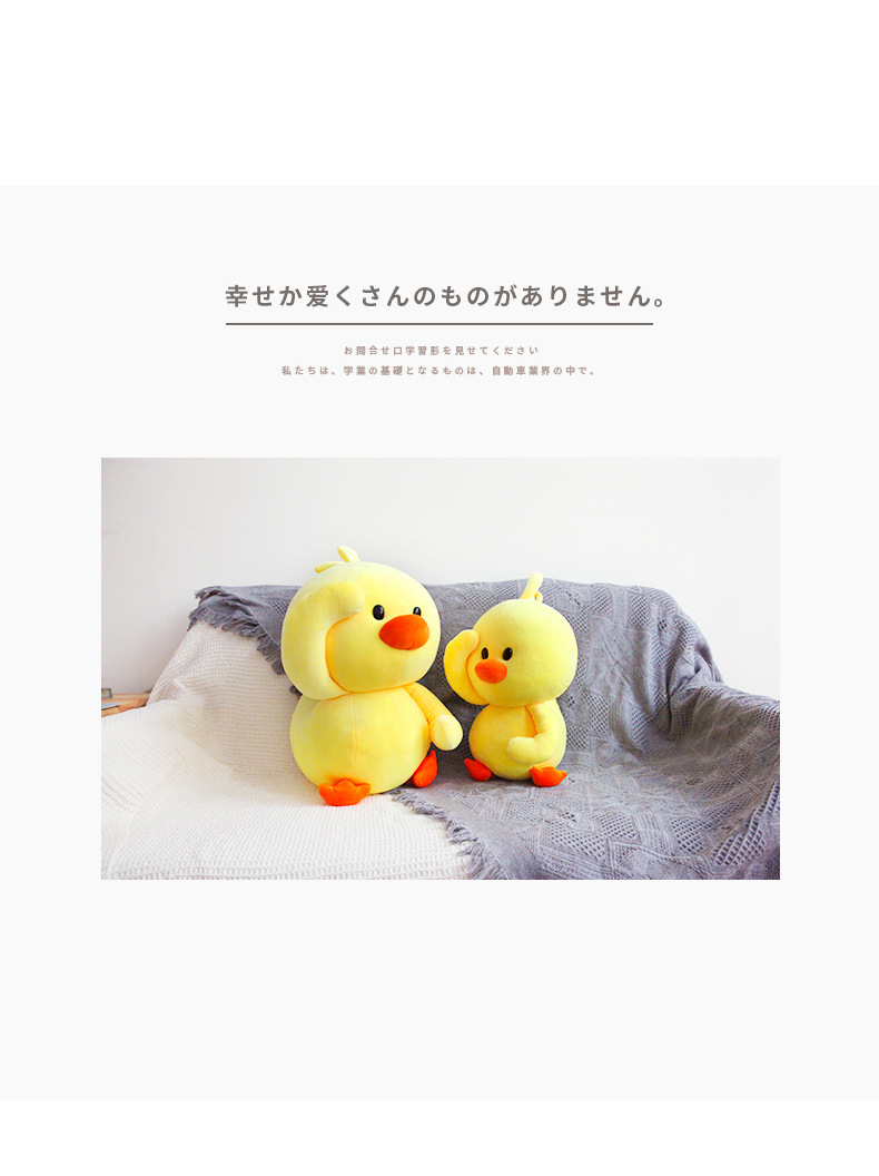 详情11.jpg