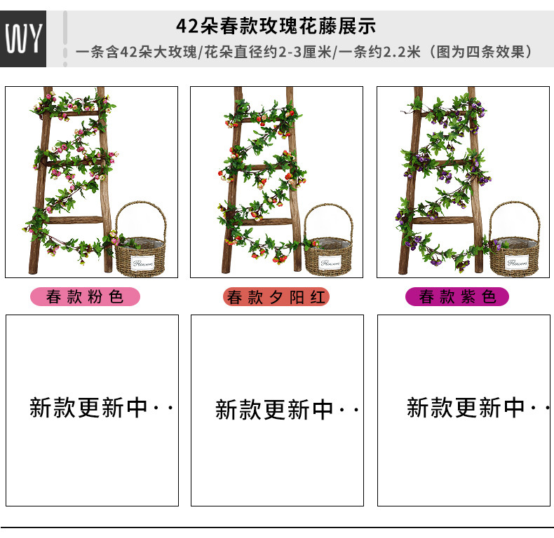 玫瑰花藤_12