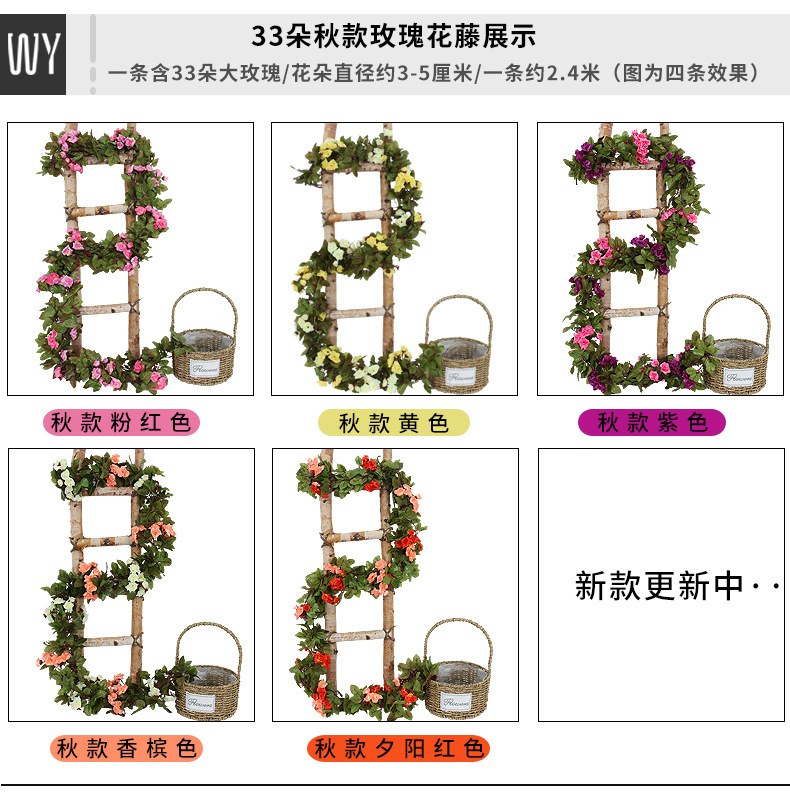 玫瑰花藤_11.jpg