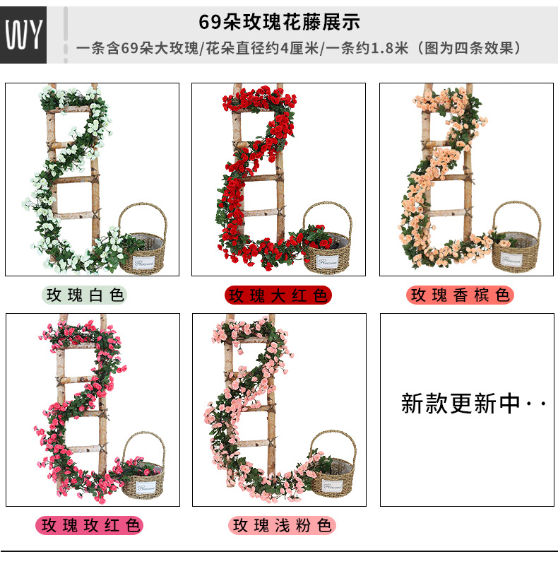 玫瑰花藤_12.jpg