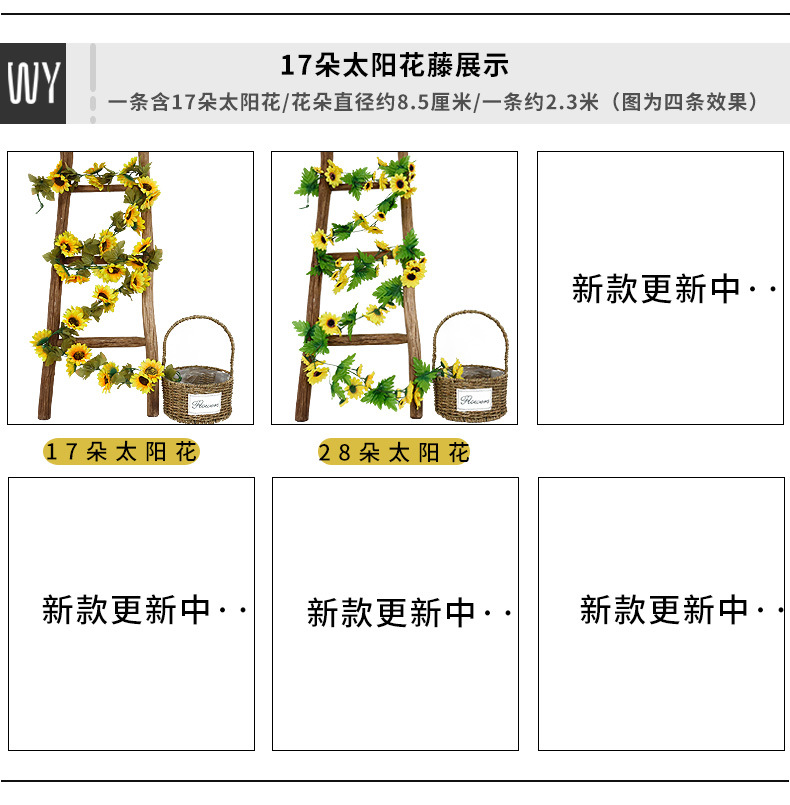 玫瑰花藤_15