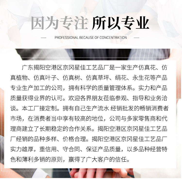 欧式水彩龙凤球菊双色绣球花_21
