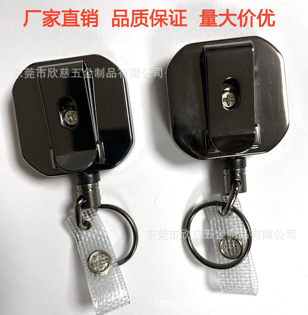 yldIMG_248445