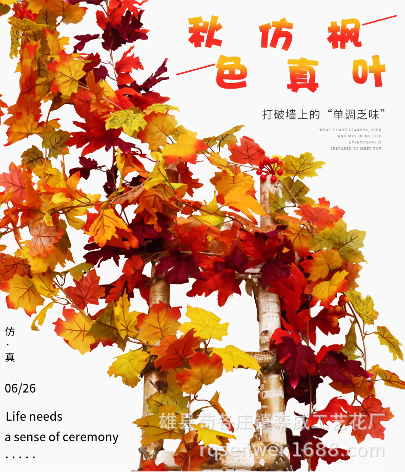 枫叶_01.jpg