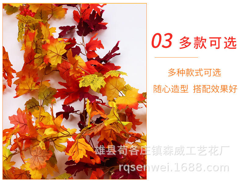 枫叶_04.jpg