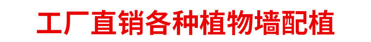 未标题-1_01