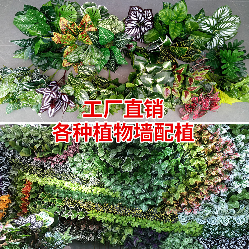 Фото 6
