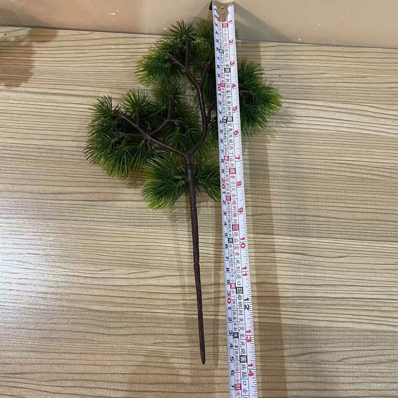 45头美人松44