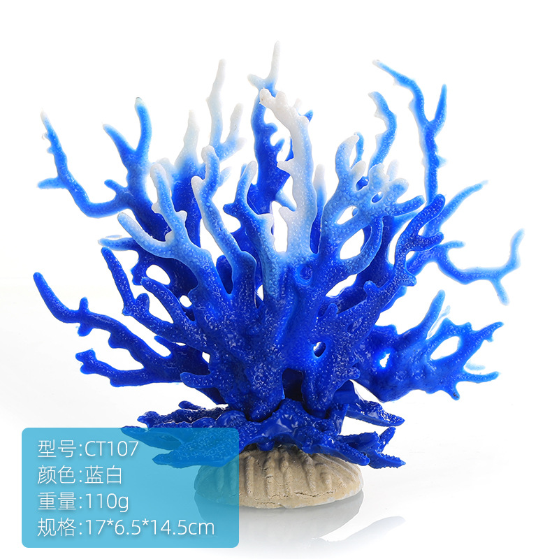 CT107蓝白.jpg