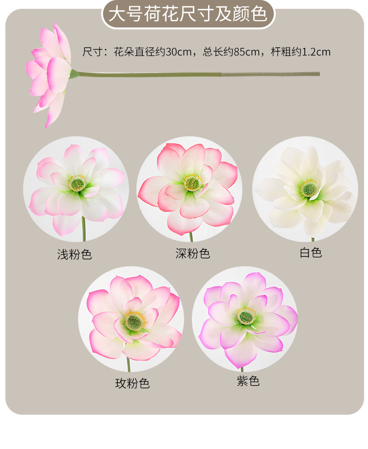 详情页_08.jpg