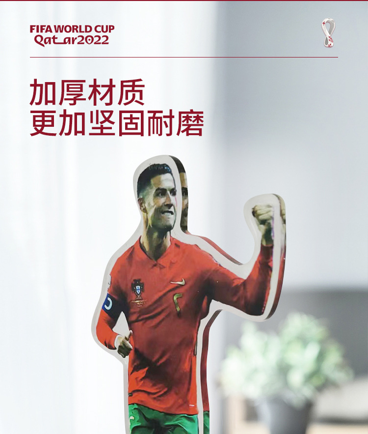 卡塔尔 (3)