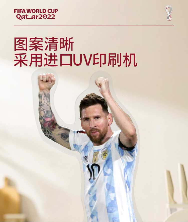 卡塔尔 (4)