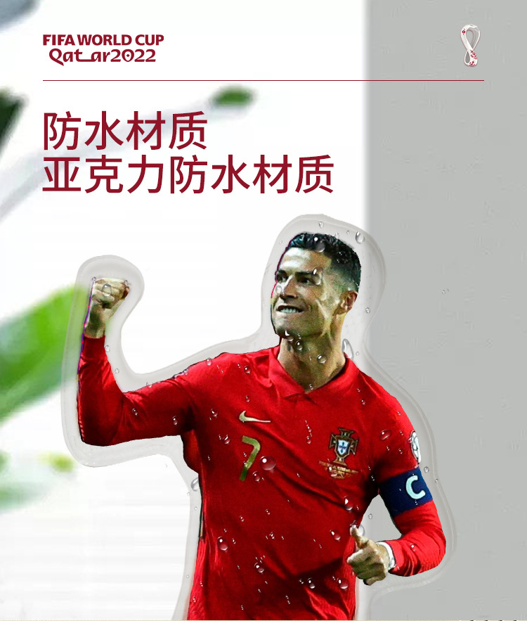 卡塔尔 (5)