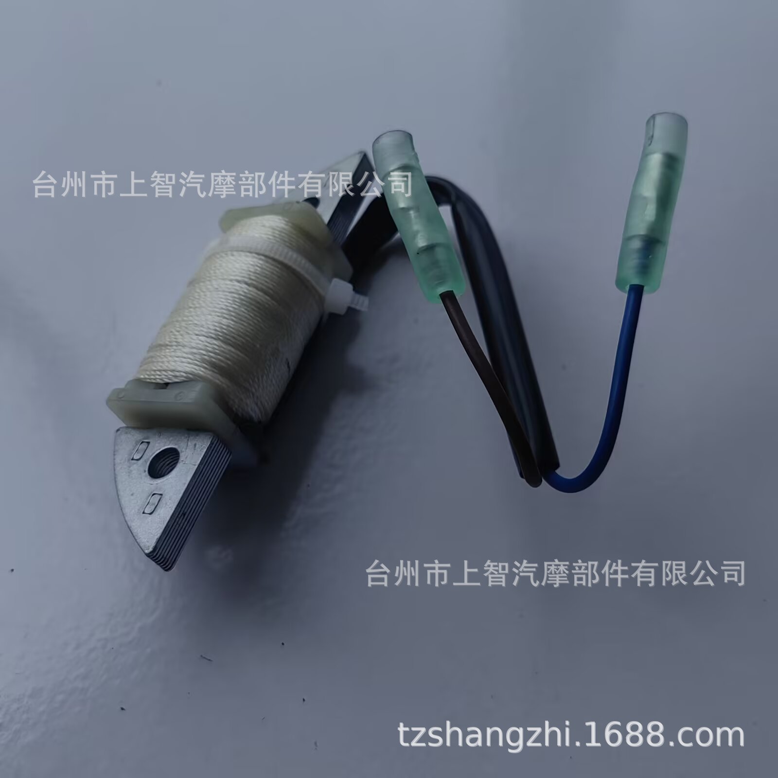 63V点火线圈 1