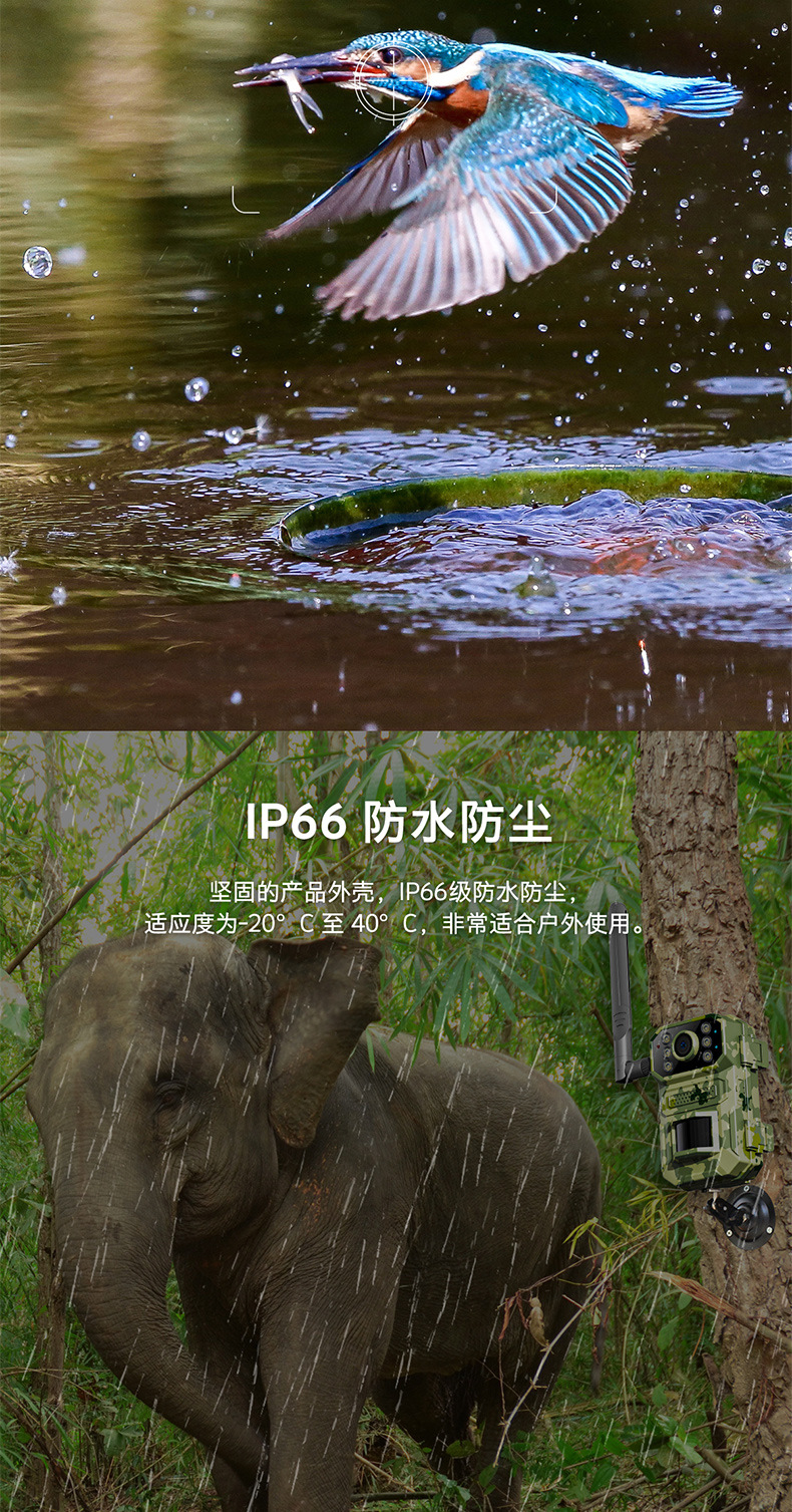 未标题-1_05