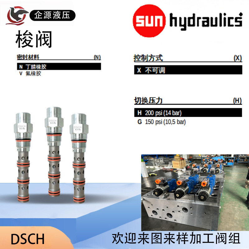 DSCH主图三