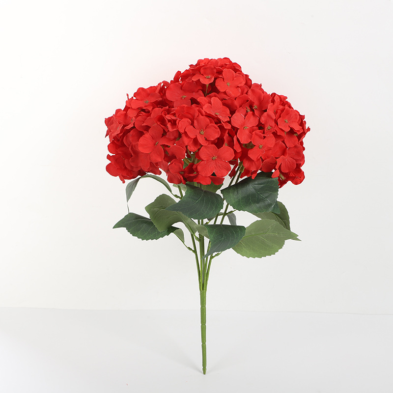 Фото 6