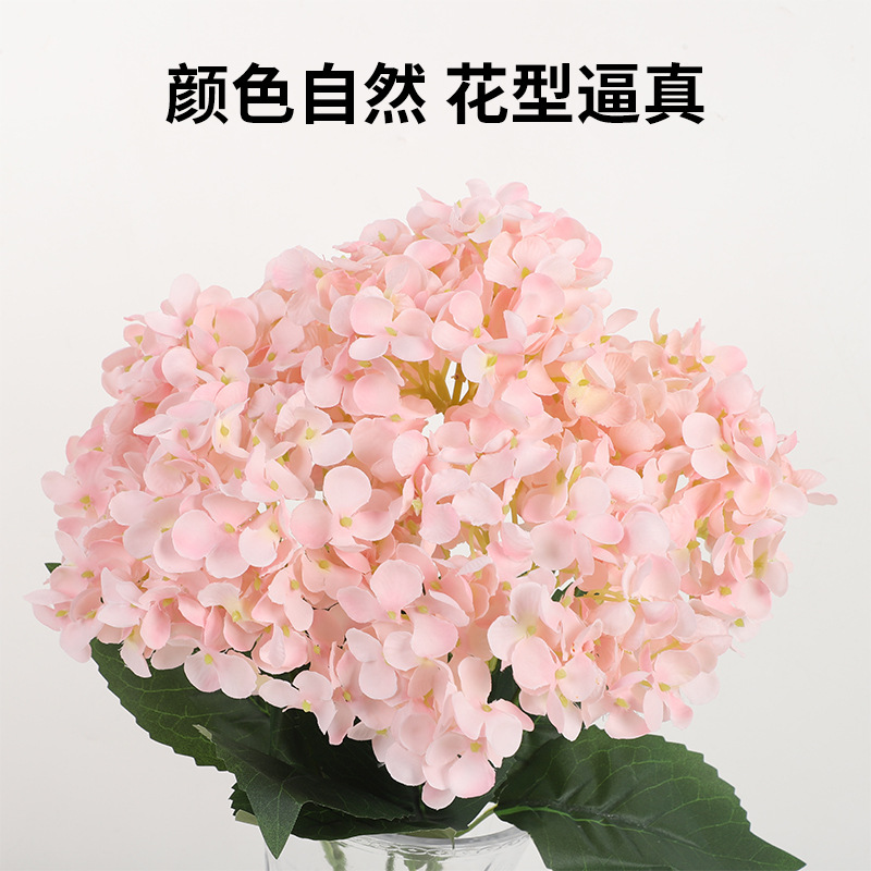 Фото 6